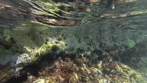 Under the sea Stock Footage 135278162