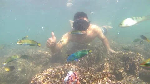 Under the sea Video stock 232187895