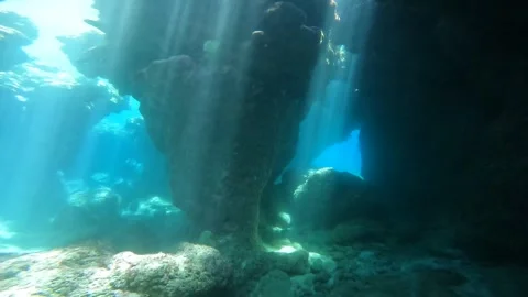 Under the sea Stock Footage 263412031