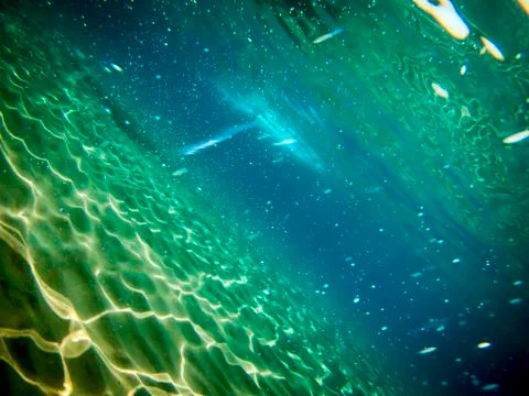 Under the sea Stock Photos