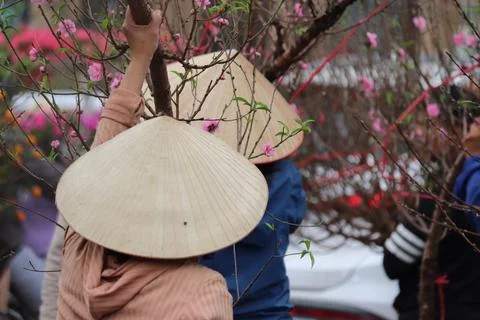 Under the Shade of Tradition 스톡 사진