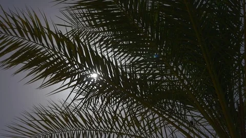 Under the shadow Video stock 72372457