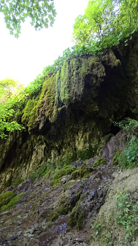 Under the Sipote Waterfall Stock Footage 317036080