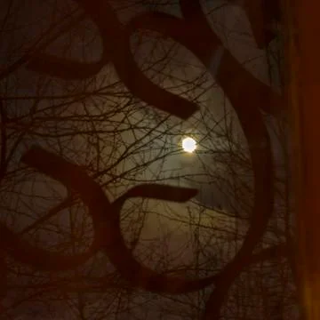 Under the super moon Stock Photos
