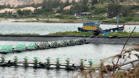 Under-surface angle shows paddles rotating, gently lifting sediments and pushing Stock Footage 323077524