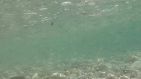 Under the surface Stock Footage 30462716