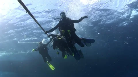 Under surface of water, group of divers are clinging onto rope. Stock Footage 234867278