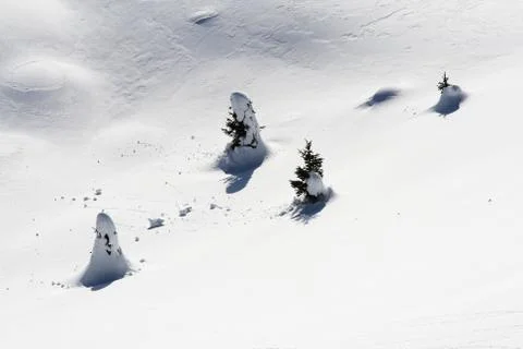 Under then snow Foto stock