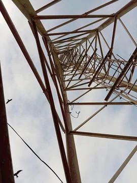 Under the tower pic Stock Photos