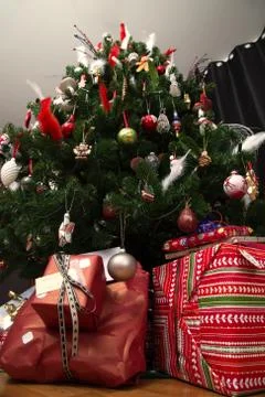 Under the tree Foto stock