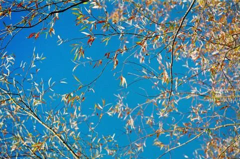 Under the tree 스톡 사진