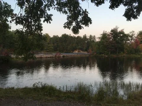 Under a tree at a pond Stock Photos