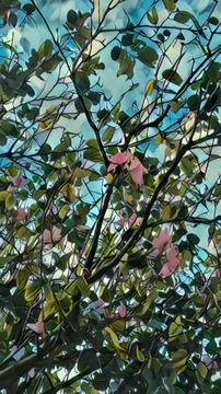 Under the Trees – Artistic View Stock Illustration