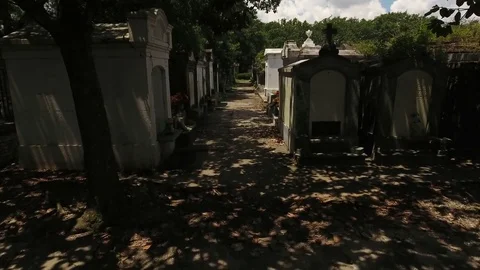 Under Trees in Crowded and Old Cemetery in New Orleans Vídeo Stock 78722591