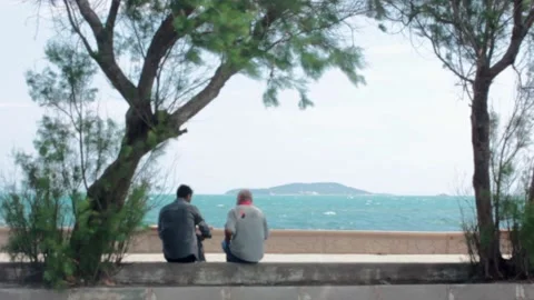 Under the trees near seaside Stock Footage 197161550