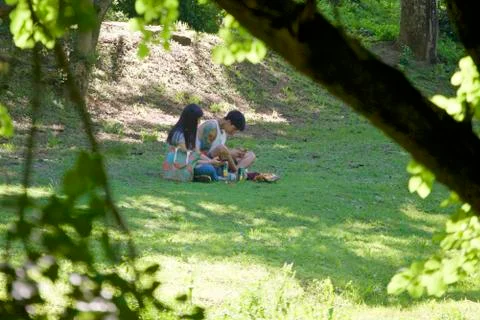 Under the trees Stock Photos