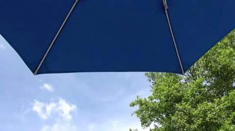 Under an umbrella Stock Footage 11982911