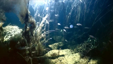 Under water 3 shots Video stock 122454244