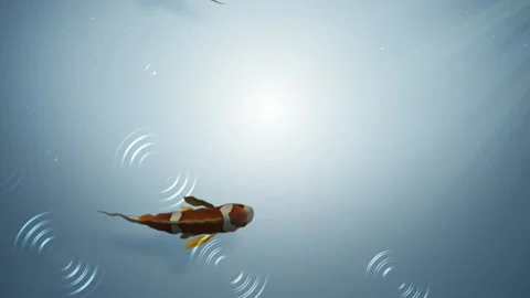 Under water aquarium loop animation Video stock 148012550