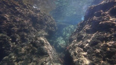 Under water. Beautiful view at the bottom of the Mediterranean Sea. Stock-Footage 113331860