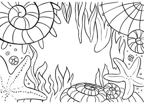 Under water, composition with shells, starfics and  seaweed - frame for text Stock Illustration