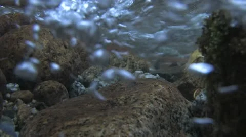 Under Water Fall Leaves Clear Mountain Streams Stock Footage 11265210