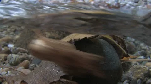 Under Water Fall Leaves Clear Mountain Streams Stock Footage 11265357