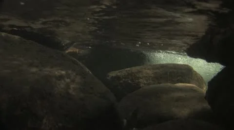Under Water Fall Leaves Clear Mountain Streams Stock Footage 11266532