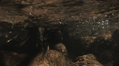 Under Water Fall Leaves Clear Mountain Streams Stock Footage 11267459