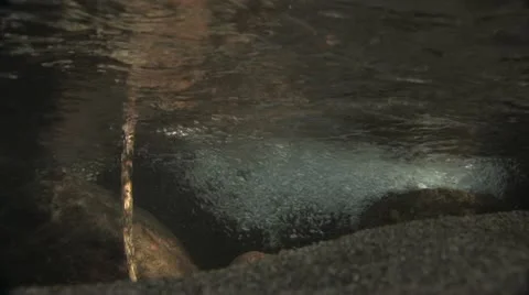 Under Water Fall Leaves Clear Mountain Streams Stock Footage 11268155