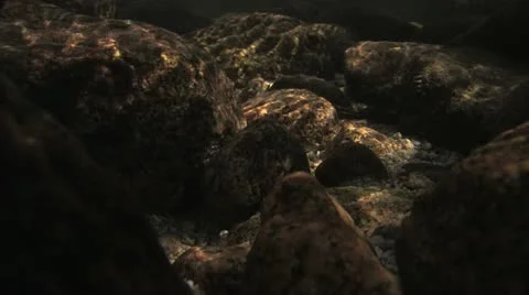 Under Water Fall Leaves Clear Mountain Streams Stock Footage 11268388