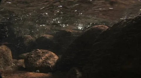 Under Water Fall Leaves Clear Mountain Streams Stock Footage 11268490
