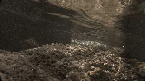 Under Water Fall Leaves Clear Mountain Streams Stock Footage 11268886