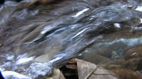 Under Water Fall Leaves Clear Mountain Streams Stock Footage 11269418