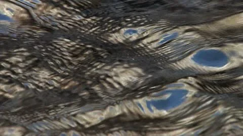 Under Water Fall Leaves Clear Mountain Streams Stock Footage 11269419
