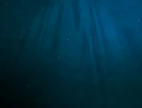 Under Water Video stock 12632439