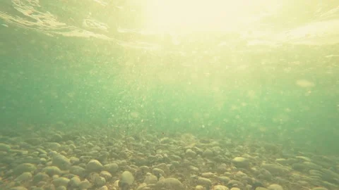 Under the water Stock Footage 87324505