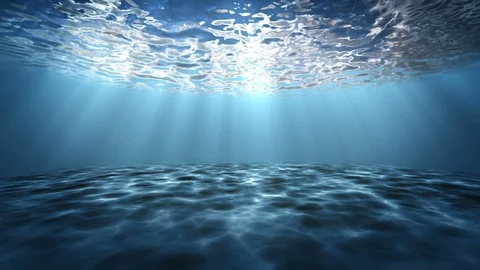Under water Stock Footage 88553924