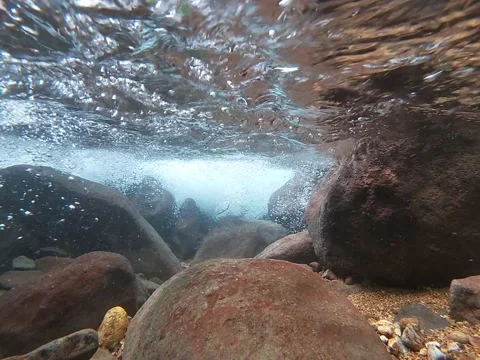 Under water Stock Footage 245345977