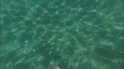 Under water Stock Footage 319944799