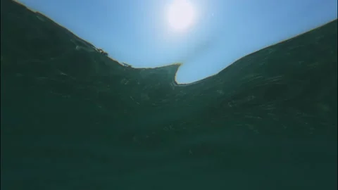 Under water Stock Footage 319944861