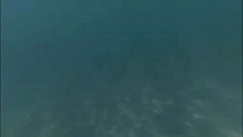 Under water Stock Footage 319945171