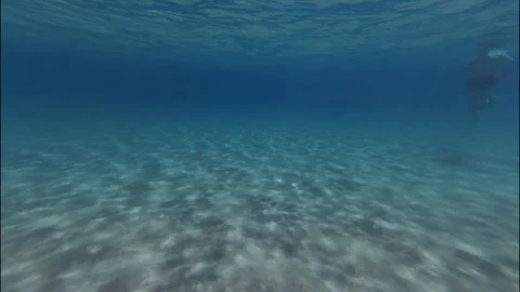 Under water Stock Footage 319945220