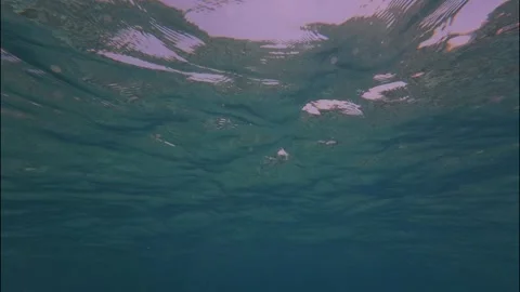 Under water Stock Footage 319945354