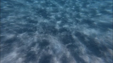 Under water Stock Footage 319945555