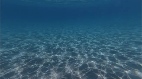 Under water Stock Footage 319945559
