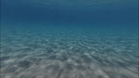 Under water Stock Footage 319945646