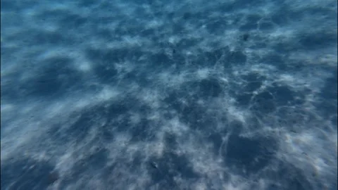 Under water Stock Footage 319945728