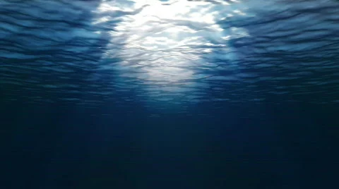 Under Water - HD-Loop Stock Footage 502615