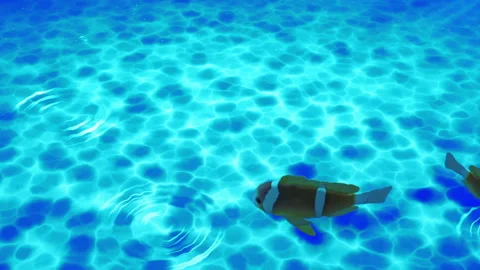 Under water ocean sea loop animation Stock Footage 148010907